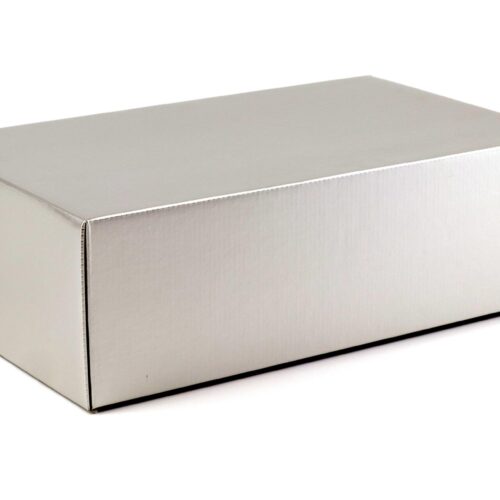 1:18 Schwyn Haas Aluminium Body Hamilton Mach 5 Speed Racer white