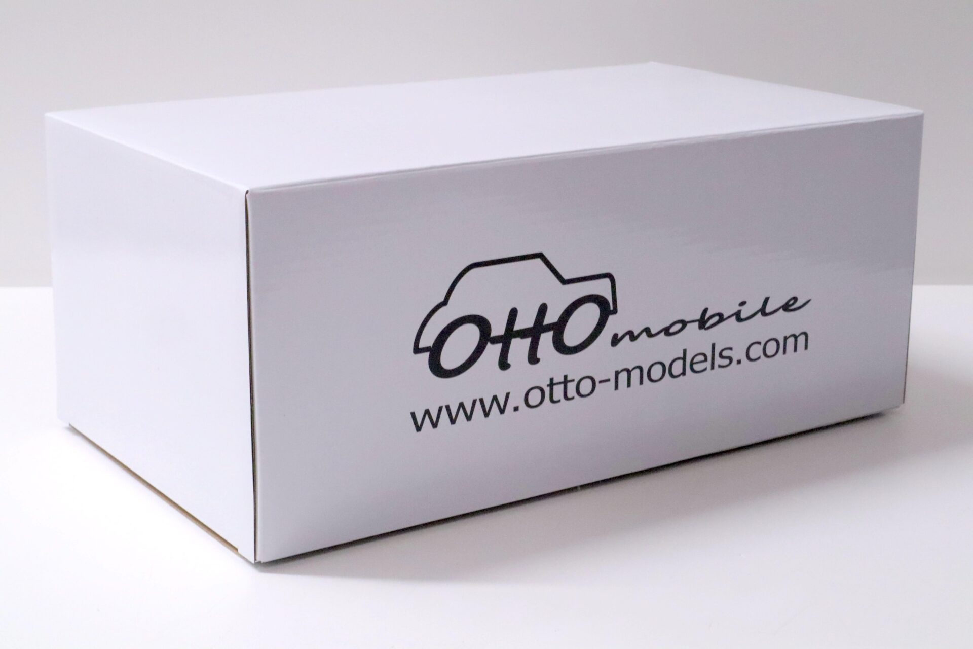 1:18 OTTO mobile OT894 Ford Fiesta MK1 1600 Gr.2 Rallye Monte Carlo 1979