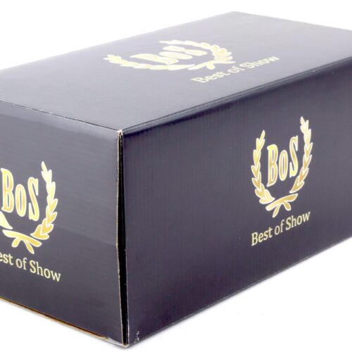 1:18 BOS-Models Opel Diplomat A Limousine 1964 gold metallic/ black BOS027