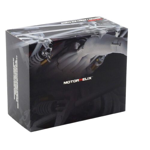 1:18 Motorhelix Zubehör Hartley / NILU27 V12 Motor Engine M90124